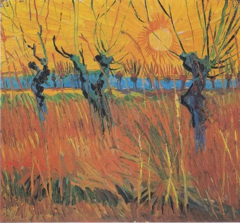  245-Vincent van Gogh-Salici al tramonto, 1888 - Kröller-Müller Museum, Otterlo 